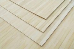 瓷质抛光砖是时风行的新型粉饰材料